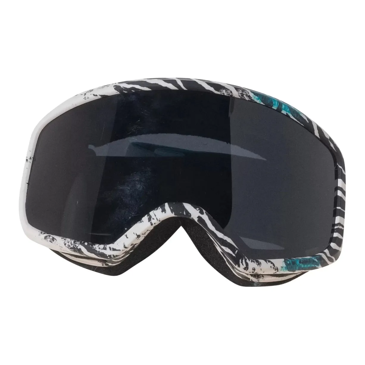 Anon Ski Goggles - Women's